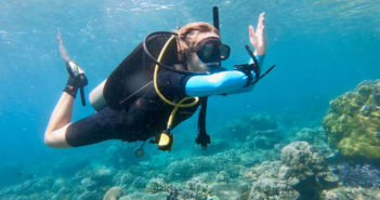 Study Reveals what Dive Tourists are Demanding from Businesses Green Fins