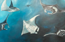 Kate Fairbairn, Marine Artist