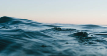 Speak Up for Our Ocean Ocean