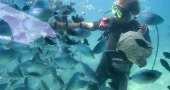 Scuba Gear List: What You Need Before Diving Scuba Gear List