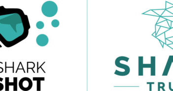 Shark Trust Great Shark Snapshot Results Are In! Shark Trust