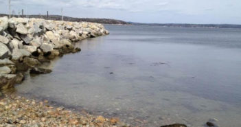 East Coast Scuba and Watersports Presents: Dive Against Debris – Mill Cove East Coast Dive Against Debris