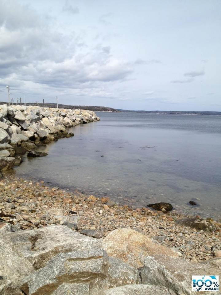 East Coast Dive Against Debris