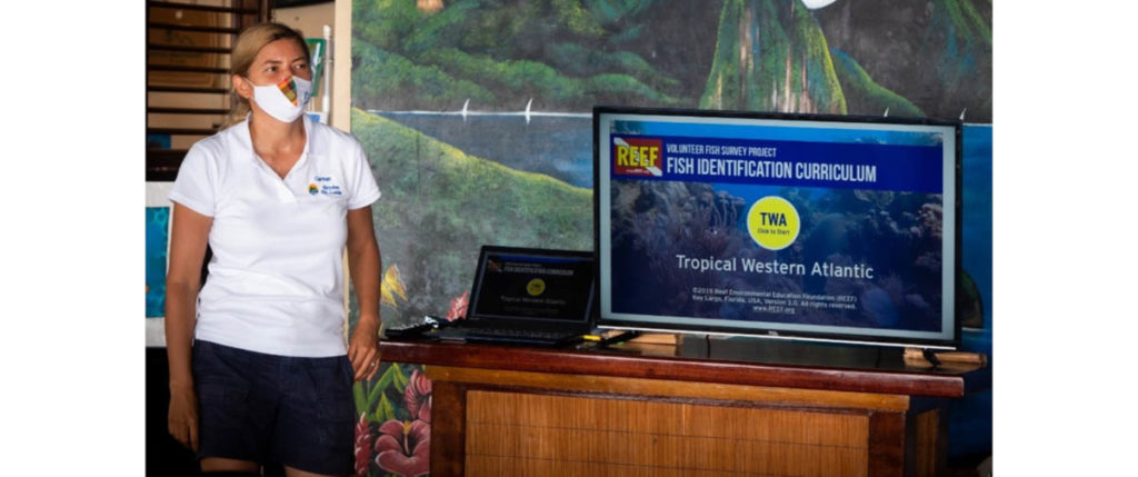 Fish ID Curriculum