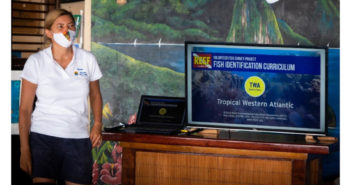 New Fish ID Curricula Available for Red Sea and Flower Garden Banks National Marine Sanctuary Fish ID Curriculum