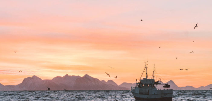 Fishing Boat