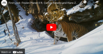 BBC Frozen Planet