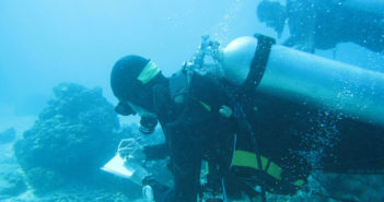 Coral Reef Protection to Grow with the Green Fins Hub Green Fins