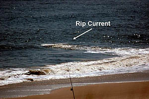 Rip Current