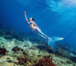 SSI Mermaid Courses