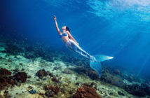 SSI Mermaid Courses