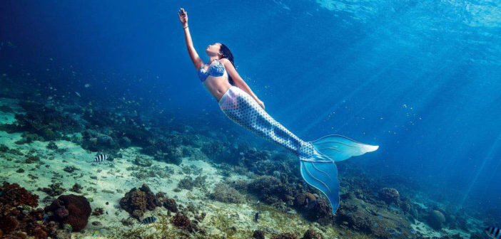 SSI Mermaid Courses