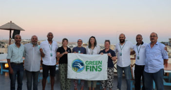 Green Fins in Egypt Took A Leap Toward Independence and Being Sustainable
