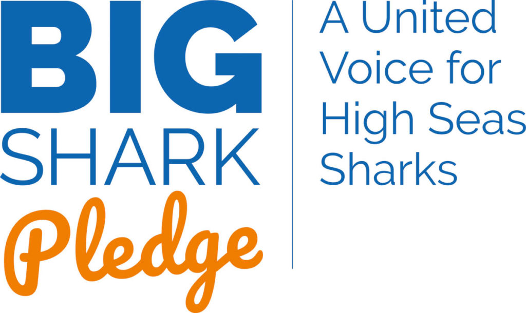 Big Shark Pledge