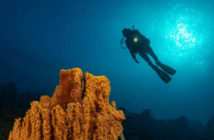 Curaçao