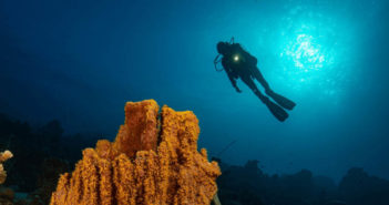 Curaçao is one of the Best Dive Destinations in the Caribbean for 2023 Curaçao