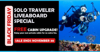 BLACK FRIDAY SALE: Enjoy FREE Single Cabin Upgrades with Explorer Ventures Explorer Ventures Sale