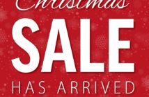 Northern Diver Christmas Sale