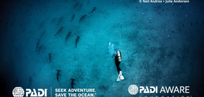 PADI Aware Shark Protection