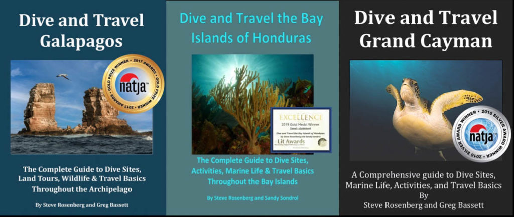 Steve Rosenberg Travel Guides
