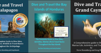 Steve Rosenberg Travel Guides