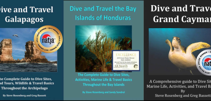 Steve Rosenberg Travel Guides