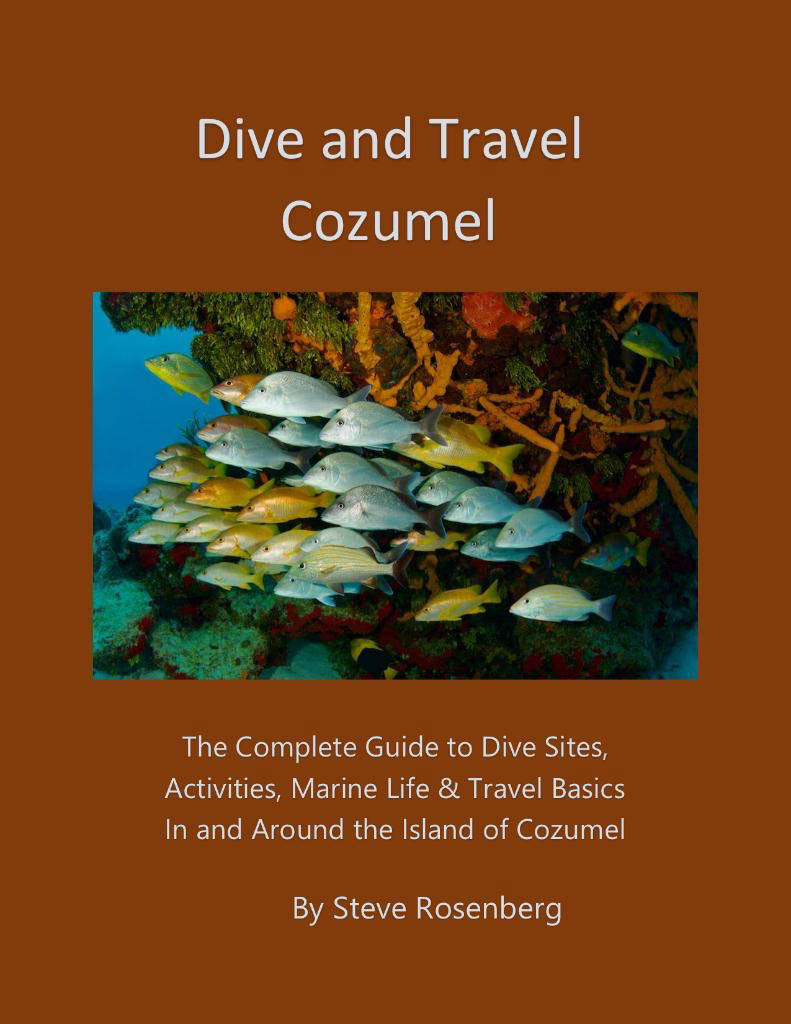 Steve Rosenberg Travel Guides