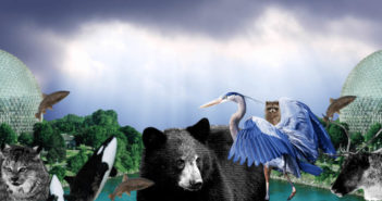 COP15 — Here’s What You Need to Know