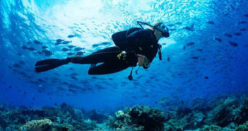 Diver Underwater