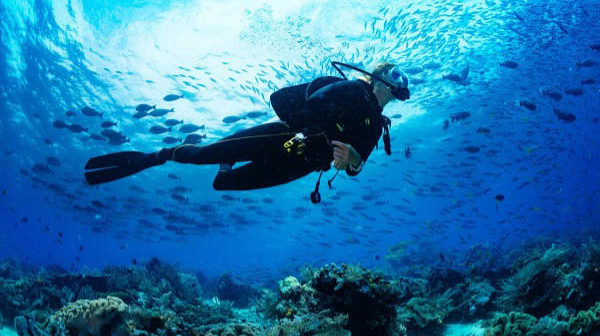 Diver Underwater