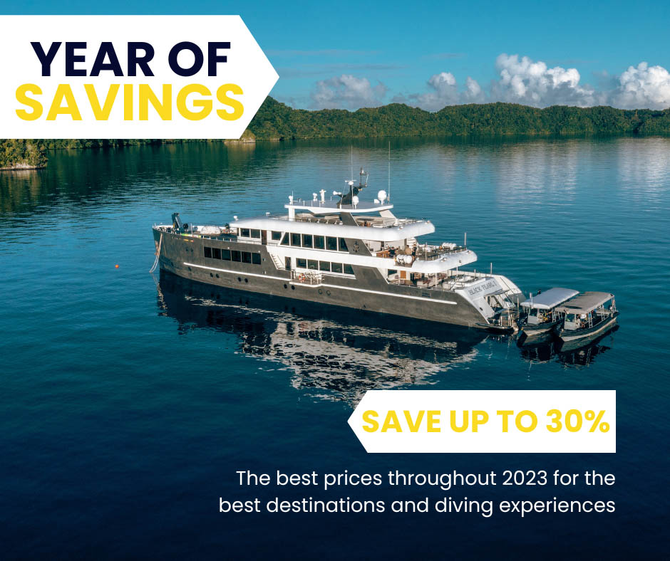 Year of Savings on Liveaboard Holidays