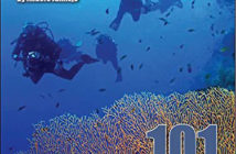 Personal Reef Guide