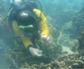 Local Company Director Travels to Thailand for Underwater Pollution Cleanup and Guinness World Record