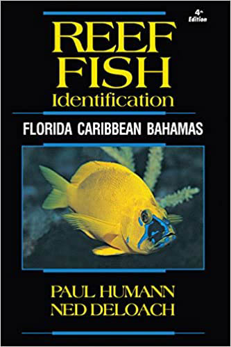 Reef Fish ID