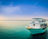 Best 6 Places for Liveaboard Diving in 2023