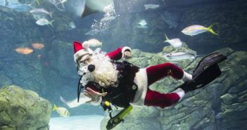 Merry Christmas from The Scuba News Canada Scuba Santa