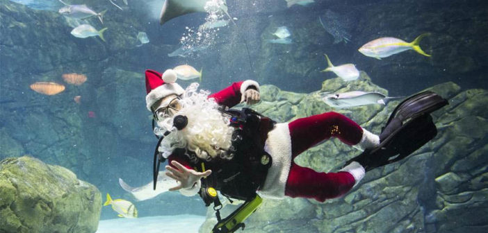 Scuba Santa