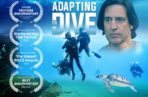 Adapting to Dive
