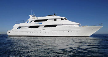 Blue Melody, Red Sea, Egypt: 26th January 2024, North and Safaga (Hurghada) – 20% OFF Blue Melody, Red Sea, Egypt