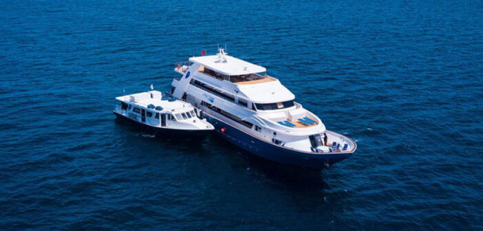 Blue Voyager, Maldives: 4th October 2023, Project Shark: Central Atolls – 20% OFF