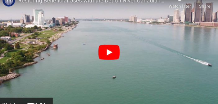 Restoring Beneficial Uses with the Detroit River Canadian Cleanup