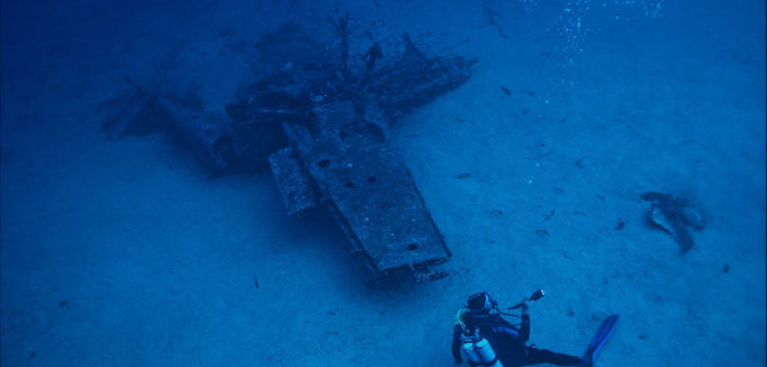 Diver Underwater