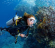 Diver Underwater