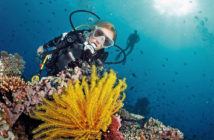 Diver underwater