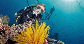 4 Things You Should Avoid After Scuba Diving Diver underwater