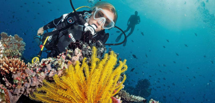 Diver underwater