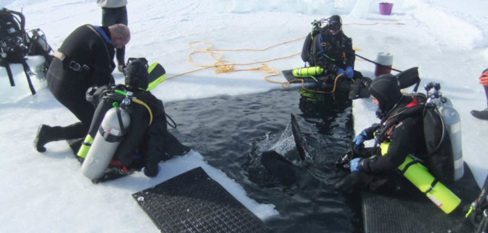 North American Ice Diving