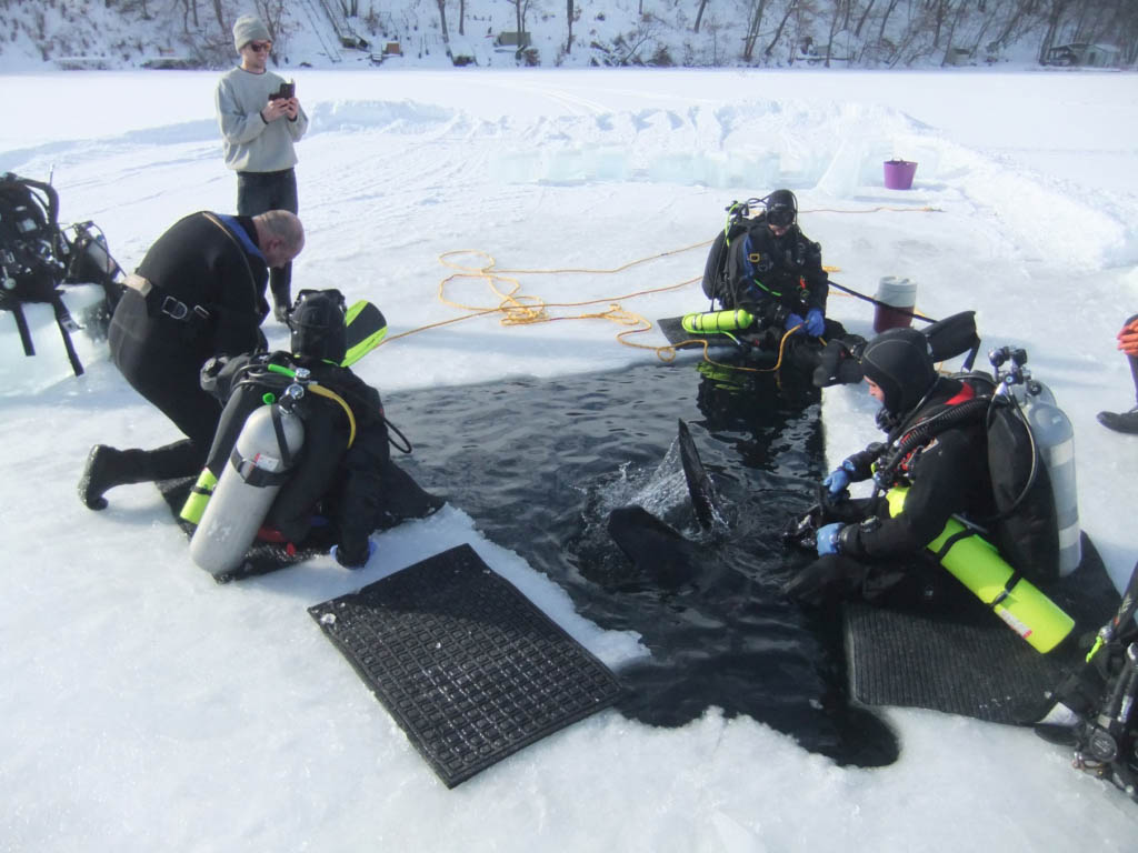 North American Ice Diving