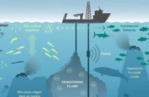 Say no to deep sea mining