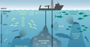 Say No to Deep Sea Mining Say no to deep sea mining